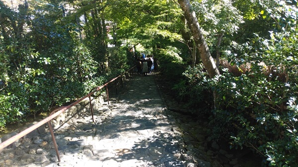 鈴虫寺の石段