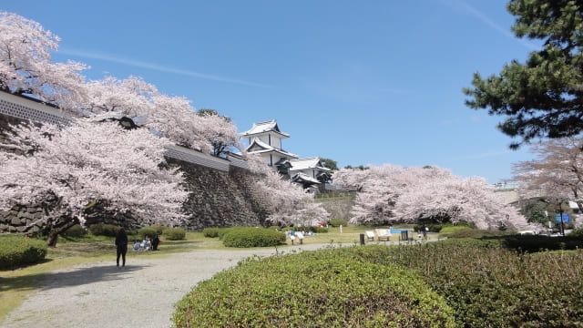 金沢城公園