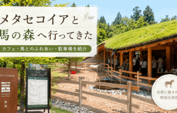 【メタセコイアと馬の森へ行ってきた】カフェ・馬とのふれあい・駐車場を紹介