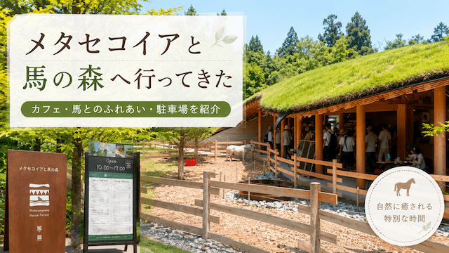 【メタセコイアと馬の森へ行ってきた】カフェ・馬とのふれあい・駐車場を紹介