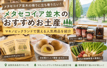 メタセコイア並木のお土産はどこで買う？