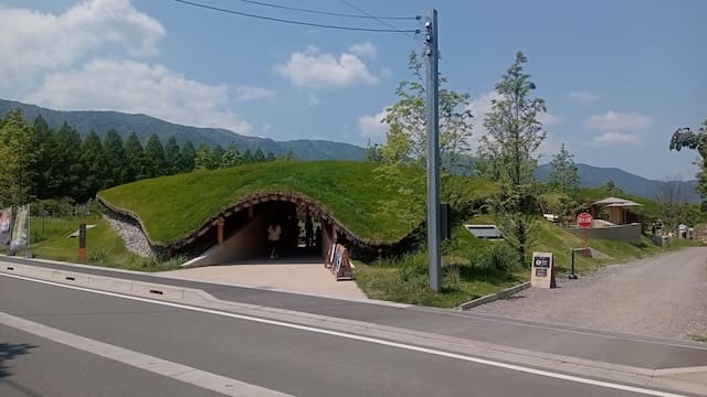 メタセコイアと馬の森