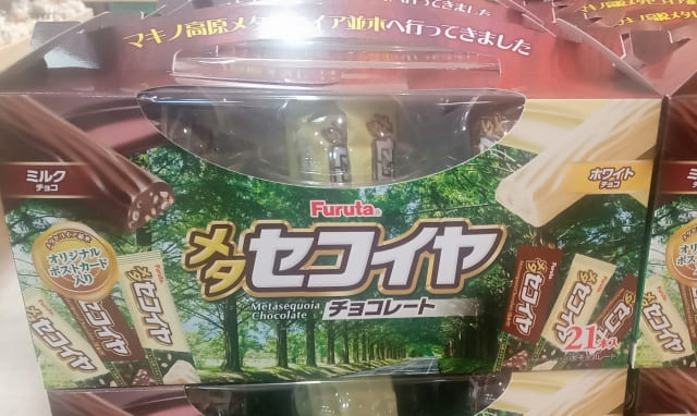メタセコイヤチョコレート