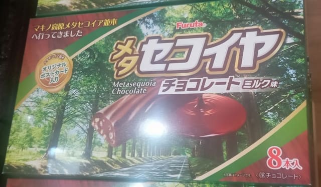 メタセコイアのお土産