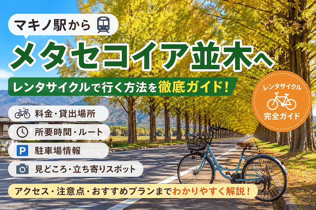 マキノ駅からメタセコイア並木まで自転車で何分？レンタサイクル料金・行き方まとめ