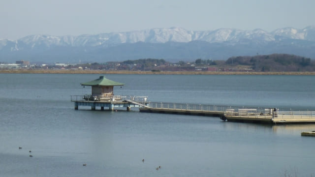 柴山潟