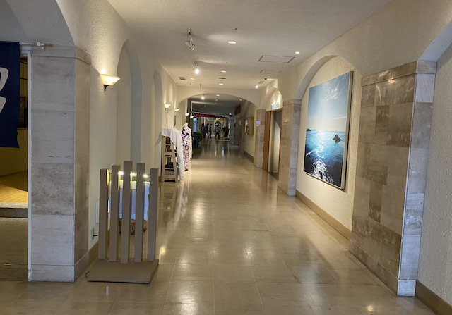 アオアヲナルトリゾート