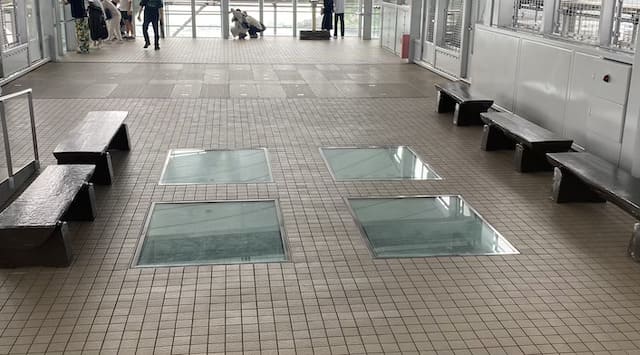 渦の道のガラス床